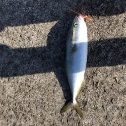 昼間からのスタート