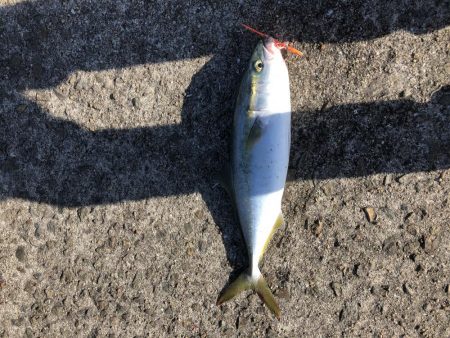 昼間からのスタート