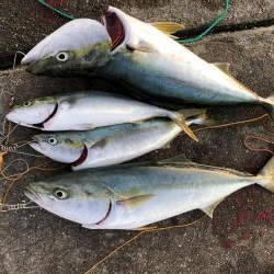 メジロ2匹は疲れる…