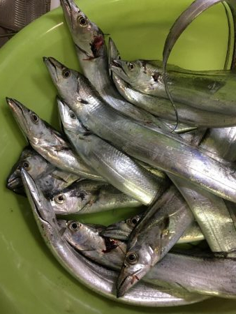 マリンピアで人爆