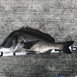 イチノ兄弟、釣果！