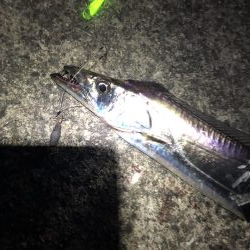 初めての南芦屋浜