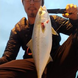 朝マズメ ワインド