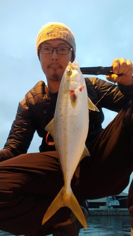 朝マズメ ワインド