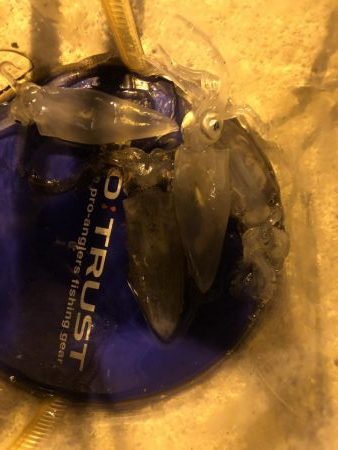 いつもどおりストック