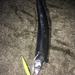 いいサイズ2本!