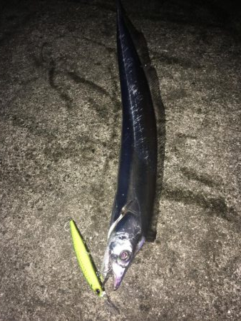 いいサイズ２本！