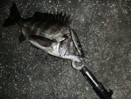 釣り人が増えてきて‥