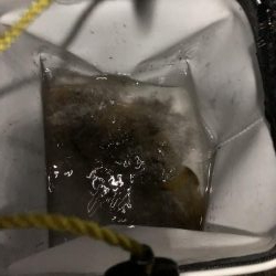 ショアジギング