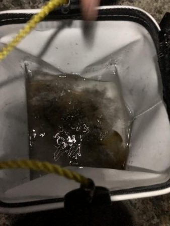 ショアジギング