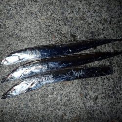 最初のバラシが…