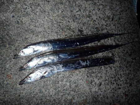 最初のバラシが…