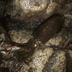 雨の中なんとか一杯