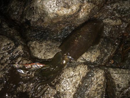 雨の中なんとか一杯