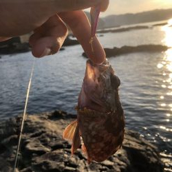 ショアジギング