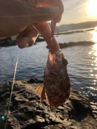 ショアジギング