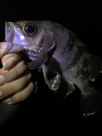 地合いつかめず