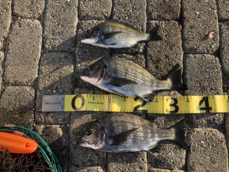 フカセ釣りプラクティス3