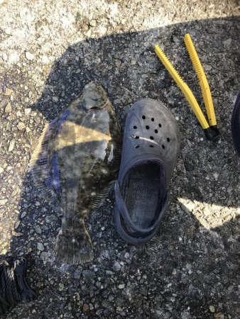 カレイ釣りにい紅葉