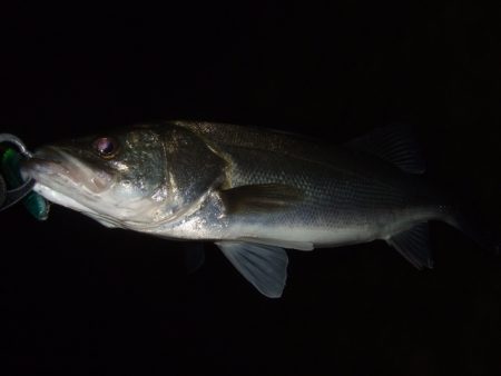 冷え込みで苦戦