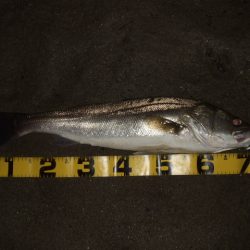 ハイシーズンも終わりを実感