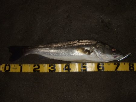 ハイシーズンも終わりを実感