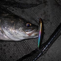 ヘビーウエイトミノーで攻略