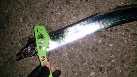 まだやめられへんやん