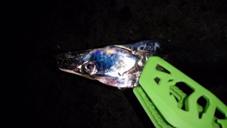 後ろ髪引かれる思い