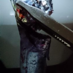 神戸タチウオ渋い渋い