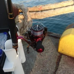 こんな時間に太刀魚が釣れました。