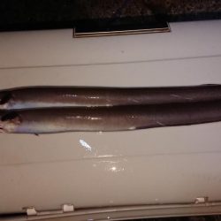 最後の最後に穴子！