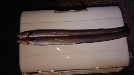 最後の最後に穴子！