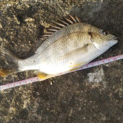 夕方、やや強い風、波少し立ち気味