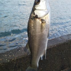 また小物釣り