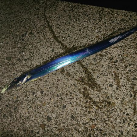 久しぶりの海南