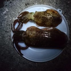 先週当たりが少なくなった！