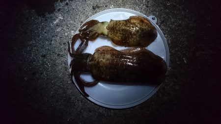 先週当たりが少なくなった!