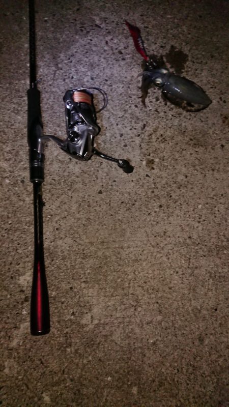 ネコがイカ食ったら腰抜かすってホンマ？