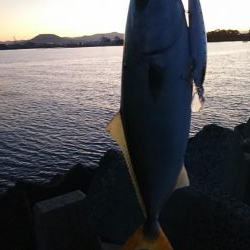 シーバスのはずが…