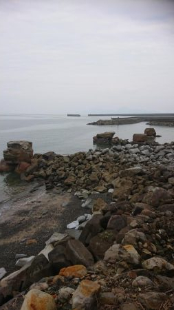 アジング&エギンク