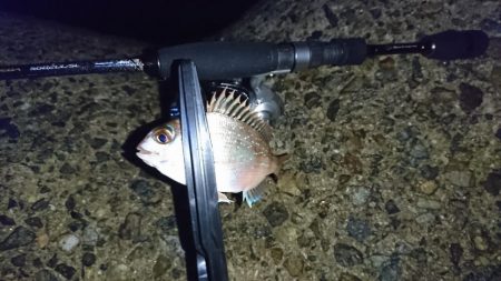 チャリコ地獄でもナイスガッシー！