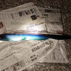 だんだん寒くなってきましたが