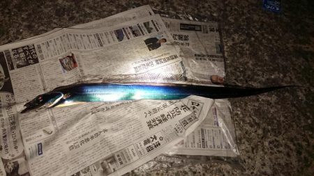 だんだん寒くなってきましたが