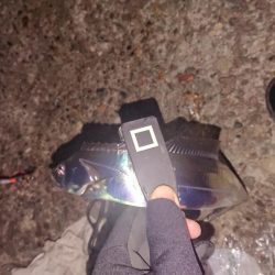 アタリはあるが細いのばっかり