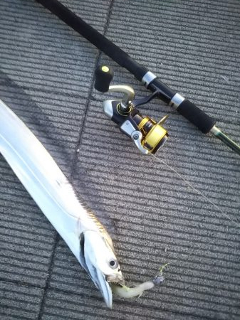 水温が低くなってきましたね