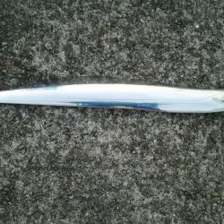 青物不発でなんとかタチウオゲット