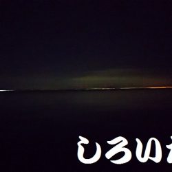 タチウオいない？アジ釣りに変更。