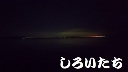 タチウオいない？アジ釣りに変更。