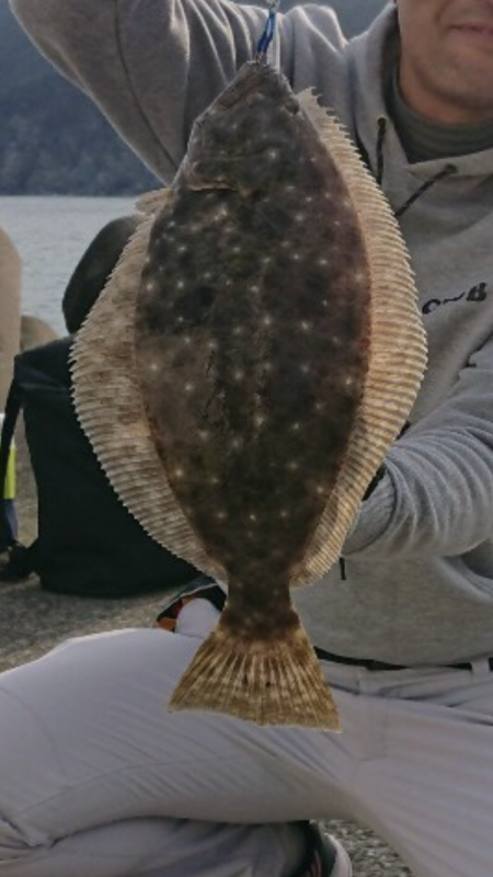 ショアジギングでヒラメ